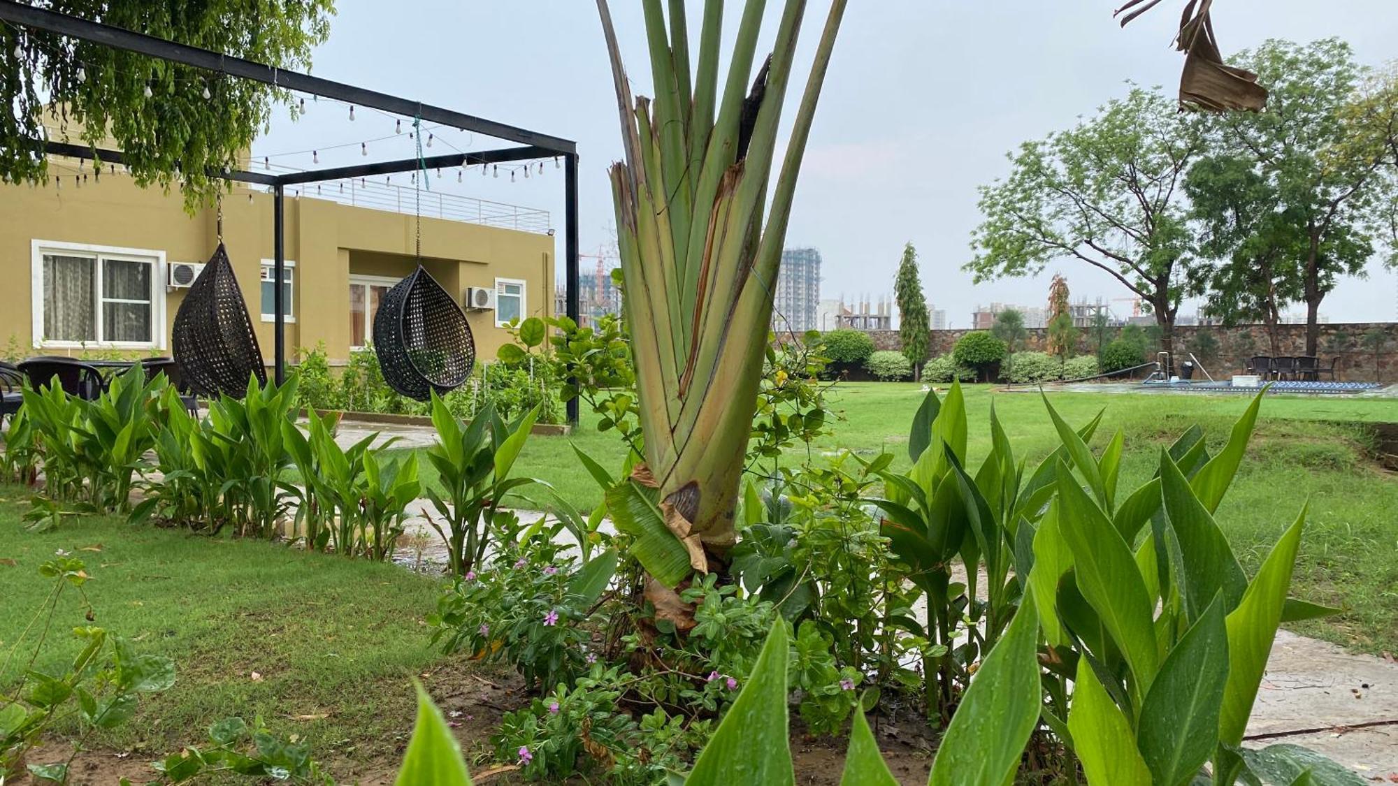 Raas Vilas - Boutique Farm House With Pool Taoru Экстерьер фото